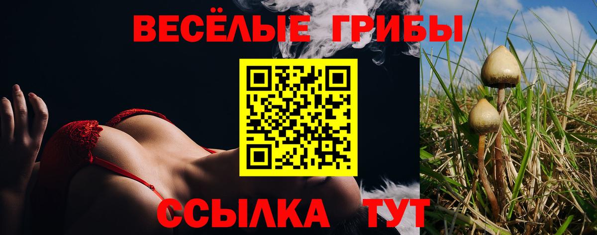 Галлюциногенные грибы MAGIC MUSHROOMS Мыски